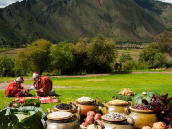Andean-Food-in-Peru-1-of-1-360x200